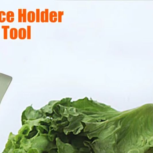 Vegetable Slicing Tool Onion S - Onion Holder Slicer review and price